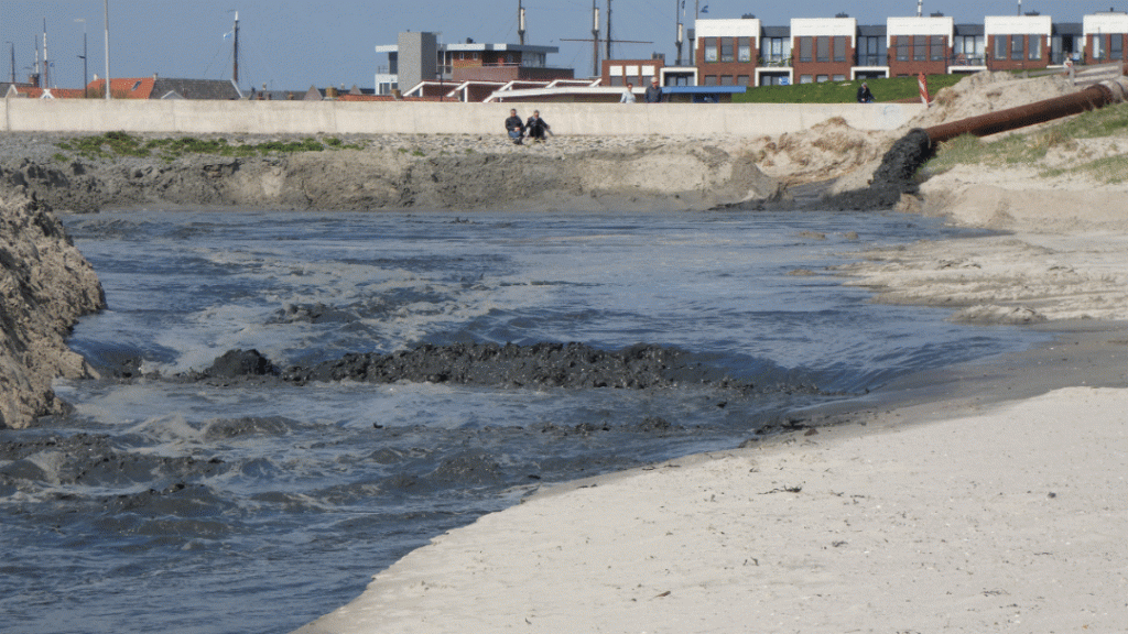 Strand Westerzeedijk