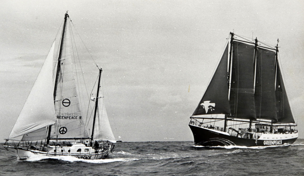 greenpeace pacific ms de rainbow warrior en sv vega